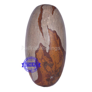 Narmada Shivling - 19