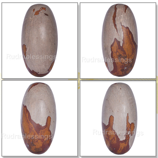 Narmada Shivling - 19