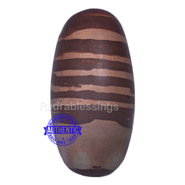 Narmada Shivling - 20