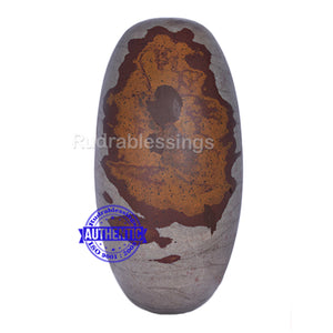 Narmada Shivling - 21