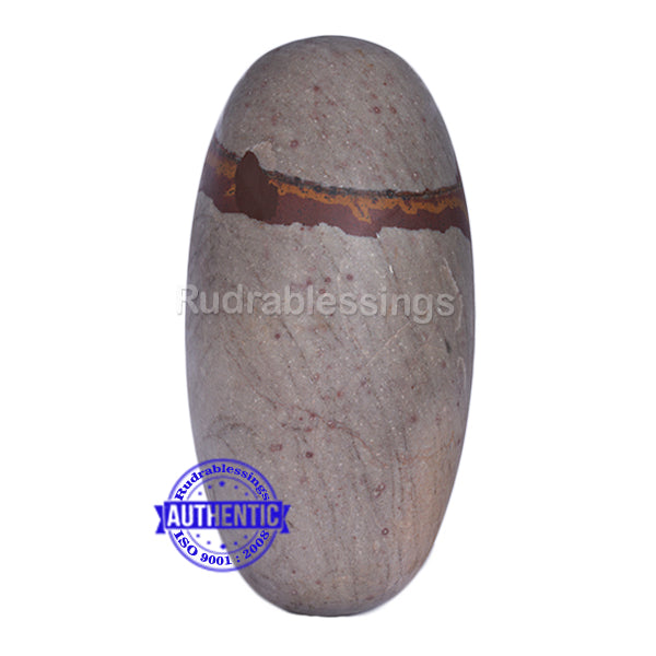 Narmada Shivling - 24