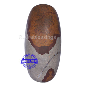 Narmada Shivling - 25