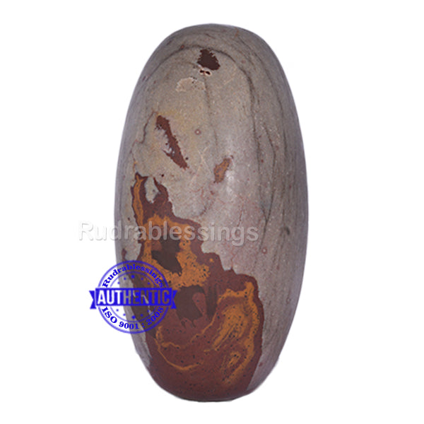 Narmada Shivling - 26