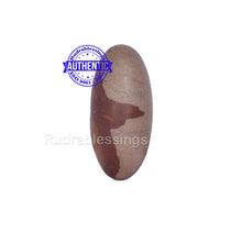 Load image into Gallery viewer, Narmada Shivling - 28
