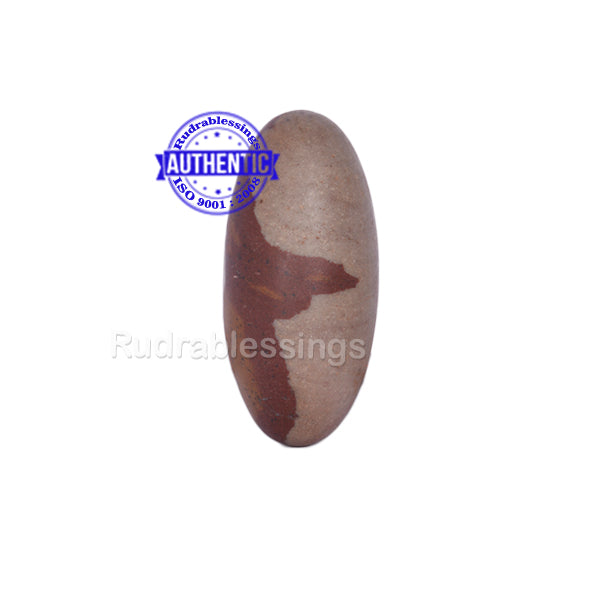 Narmada Shivling - 28