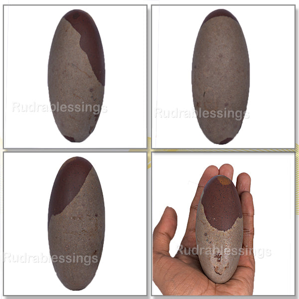 Narmada Shivling - 4