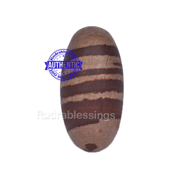 Narmada Shivling - 5