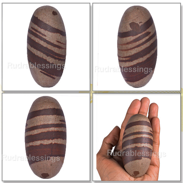 Narmada Shivling - 5