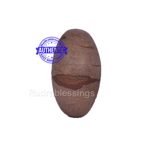 Narmada Shivling - 6