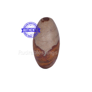 Narmada Shivling - 7