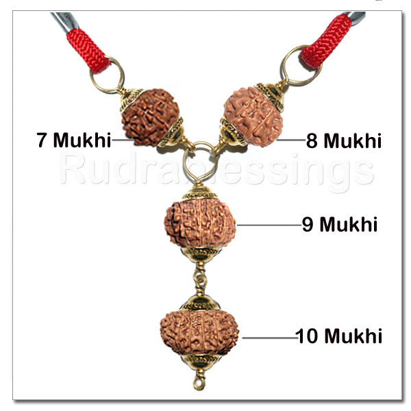 Rudraksha Nav Shakti Business Pendant From Indonesia