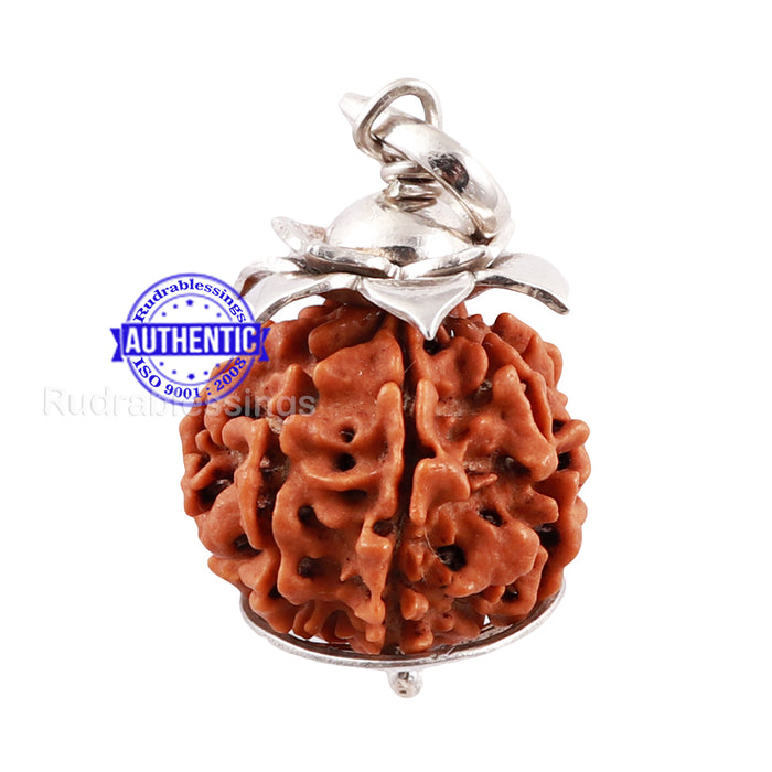 7 Mukhi Nepalese Rudraksha Pendant in pure silver - 1