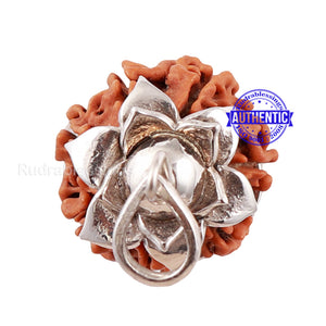 7 Mukhi Nepalese Rudraksha Pendant in pure silver - 1