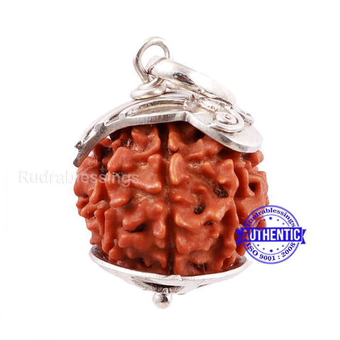 7 Mukhi Nepalese Rudraksha Pendant in pure silver - 2