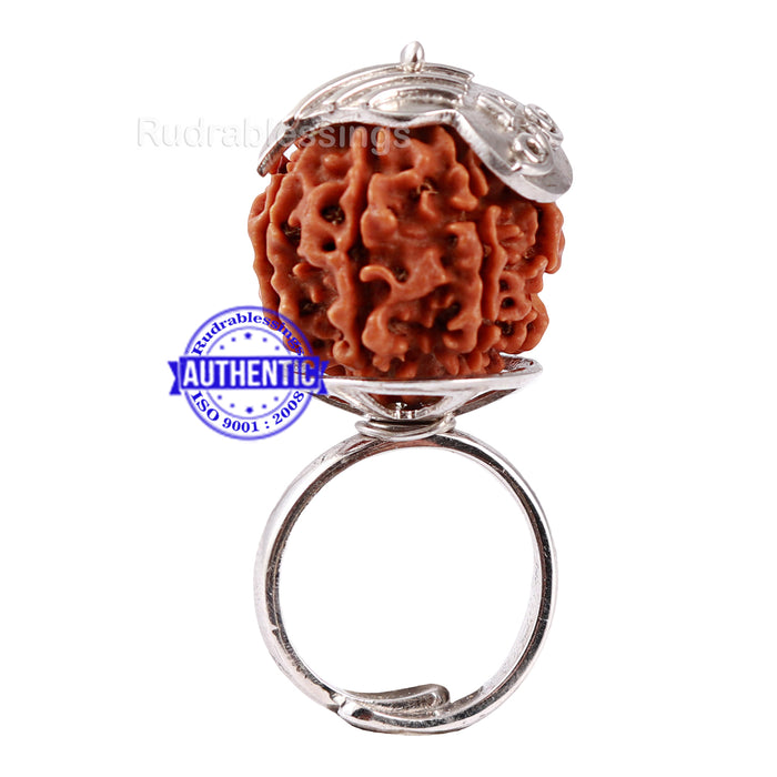 7 Mukhi Nepalese Rudraksha Ring - 13