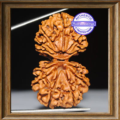 Gaurishanker Nepalese Rudraksha - Bead No. 60