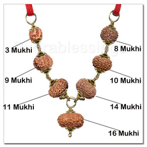 Rudraksha Ultimate Protector From Indonesia