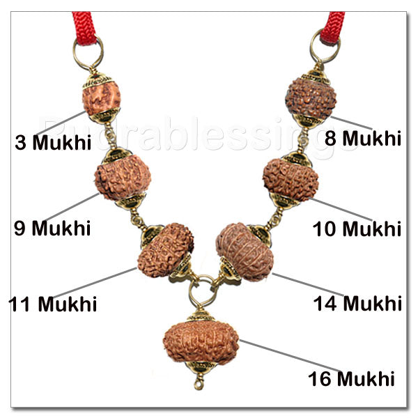 Rudraksha Ultimate Protector From Indonesia