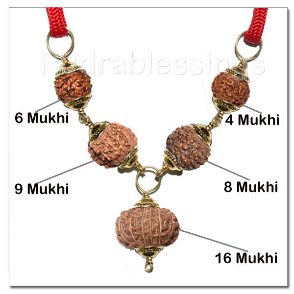 Rudraksha For Highly Competitive Exams From Indonesia