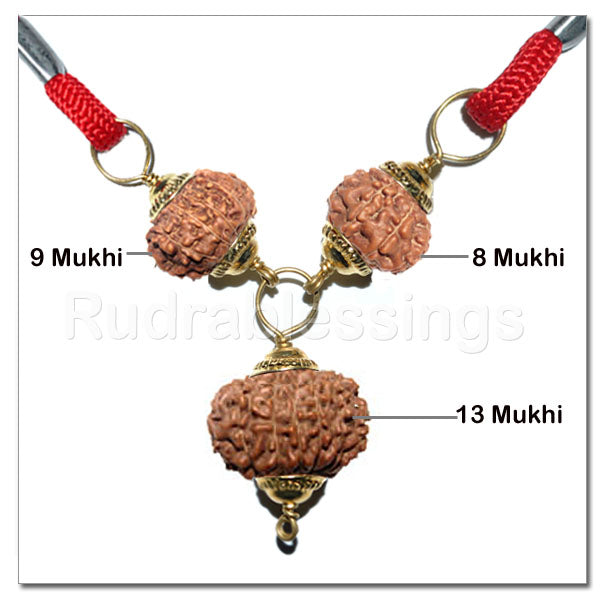 Rudraksha Combination for Knowledge and Creativity From Indonesia