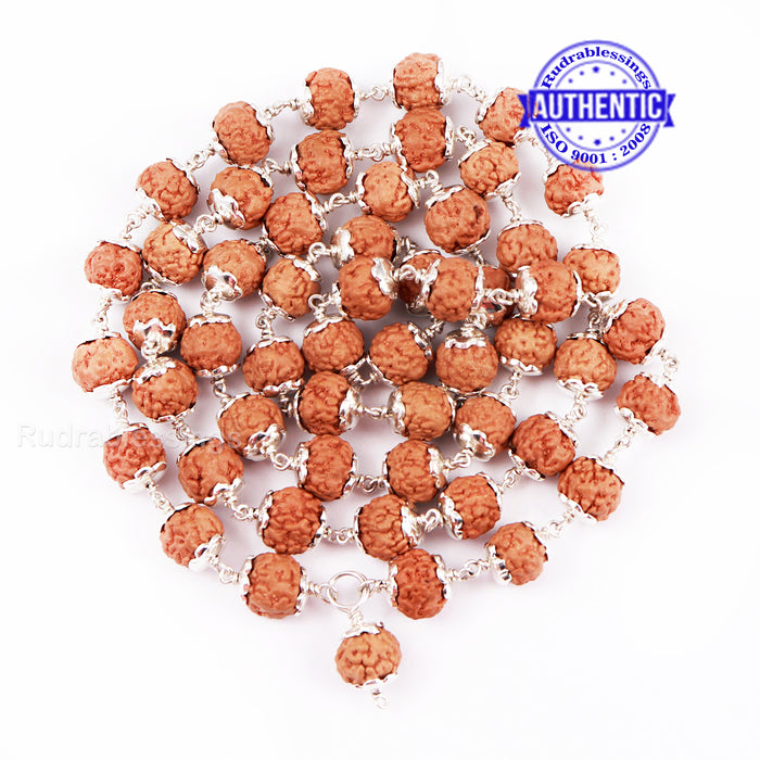 Non Mukhi Rudraksha Mala - Pure Silver