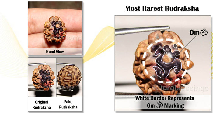 3 Mukhi Rudraksha with Om Marking