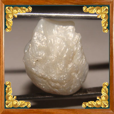 Real Pearl / Moti - 17