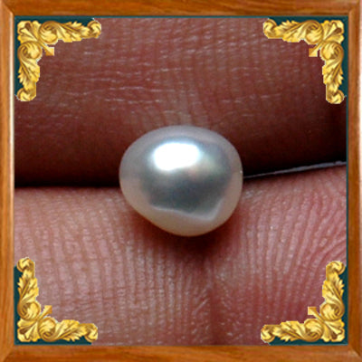Real Pearl / Moti - 1 – Rudra and Sons