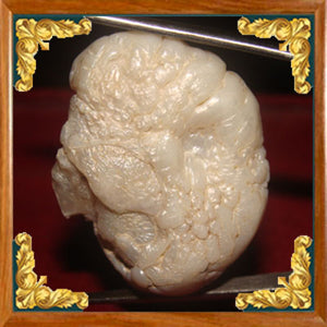 Real Pearl / Moti - 16