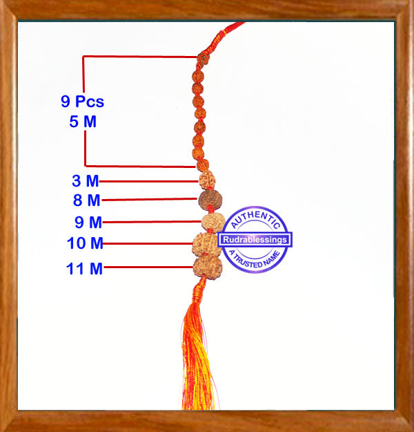 Rudraksha Protection Hanging