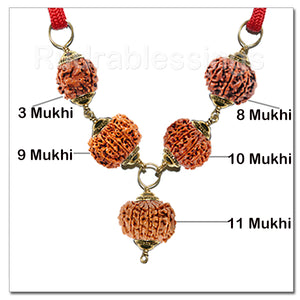 Rudraksha Protection Shield / Raksha Kavach From Nepal