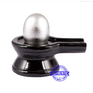 Parad Shivlinga with Black Agate Jalhari
