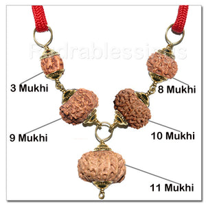 Rudraksha Protection Shield / Raksha Kavach From Indonesia