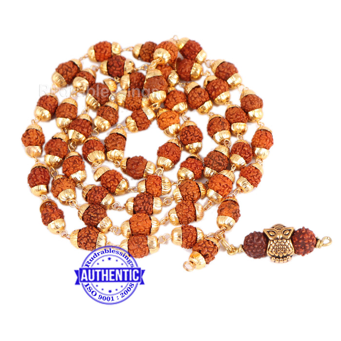 5 Mukhi Rudraksha Mala in gold plated caps with Owl Pendant