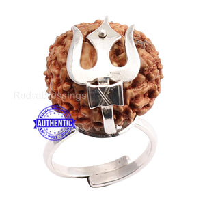 10 Mukhi Indonesian Rudraksha Ring - 2