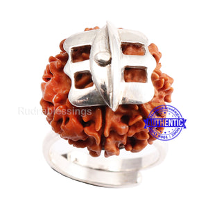 7 Mukhi Nepalese Rudraksha Ring - 2