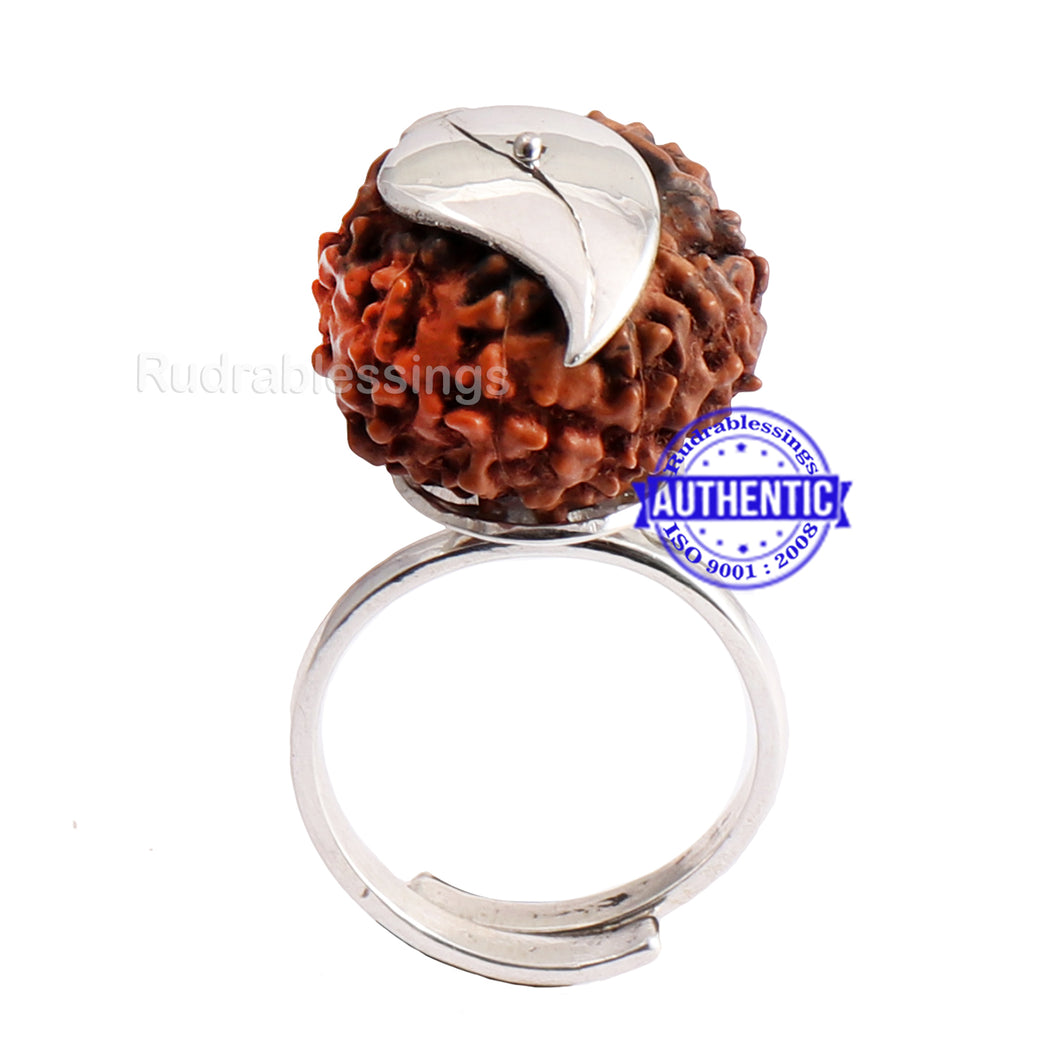 Amazon.com: Rudraksha Ring, Real Small 5 Mukhi Rudraksh Seed Bead Shiva  Jewelry for Women Men - HANDMADE : Handmade Products