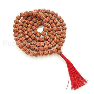 6 Mukhi Rudraksha Mala - (108+1 beads - Indonesian)