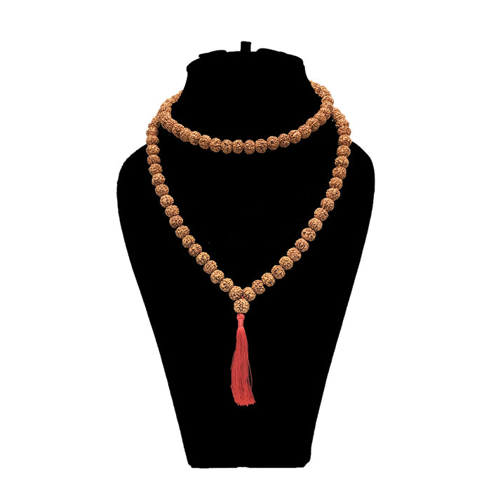 6 Mukhi Rudraksha Mala - (108+1 beads - Indonesian)