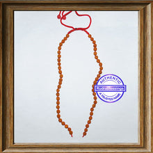 Load image into Gallery viewer, Rudraksha Attachment Mala
