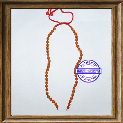 Rudraksha Attachment Mala