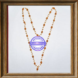 Rudraksha Sphatik Attachment Mala