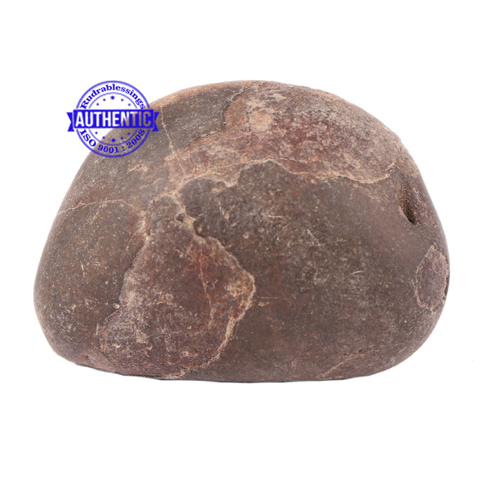 Sudarshan Shaligram - 103