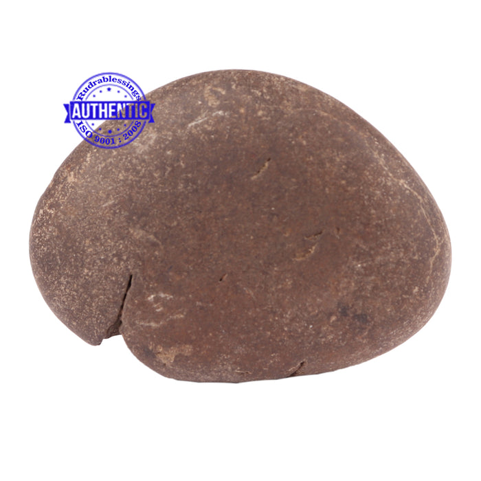 Shaligram - 105