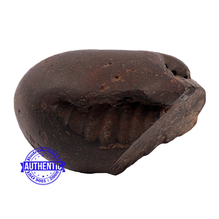 Shaligram - 154