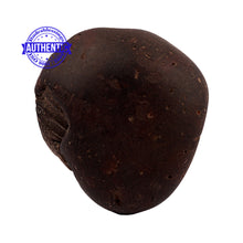 Load image into Gallery viewer, Shaligram - 154
