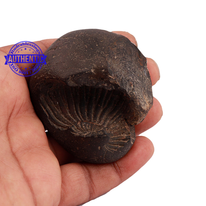 Shaligram - 154