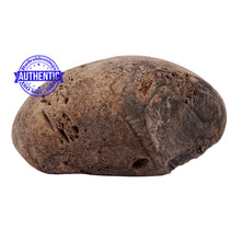 Load image into Gallery viewer, Shaligram - 157
