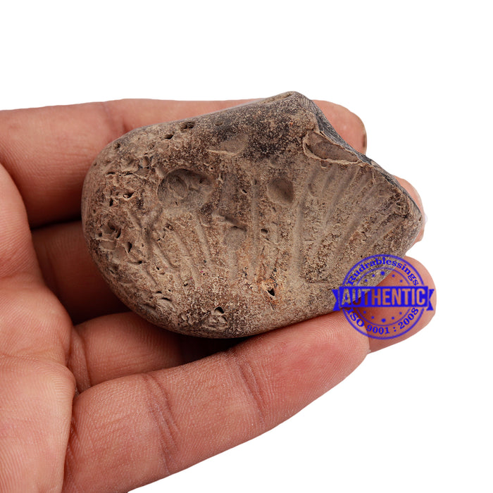 Shaligram - 157