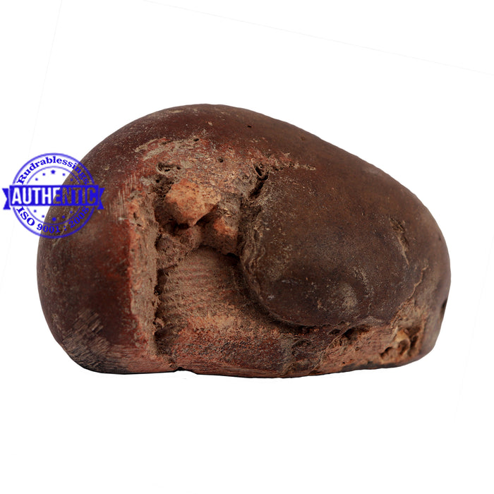 Shaligram - 158